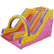 inflatable adult slide